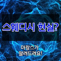 스웨디시현실 알고계신가요? - 마캉스
