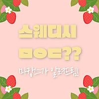 스웨디시ㅁㅇㄷ 무슨뜻일까? -마캉스