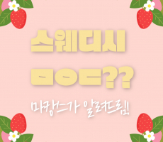 스웨디시ㅁㅇㄷ 무슨뜻일까? -마캉스