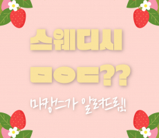 스웨디시ㅁㅇㄷ 무슨뜻일까? -마캉스