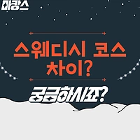 스웨디시코스차이 궁금해? -마캉스