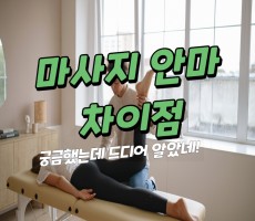 마사지 안마 차이점