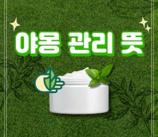 야몽관리 뜻 무엇인지 궁금중 해결해드려요! - 마캉스