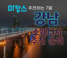 강남스웨디시 추천 순위 강남구 강남역 인근 강남스웨디시 맛집!