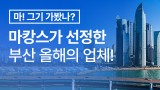 마캉스가 선정한 부산 올해의 업체!