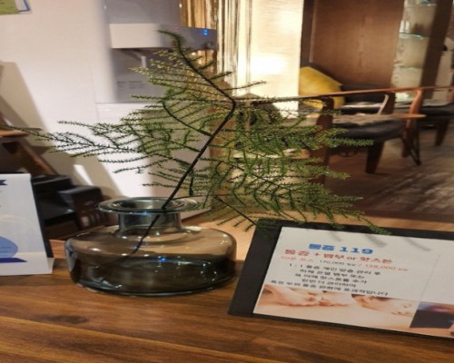 강남 신사동 압구정역 디오리엔탈스파 에스테틱 수분관리 - 마캉스