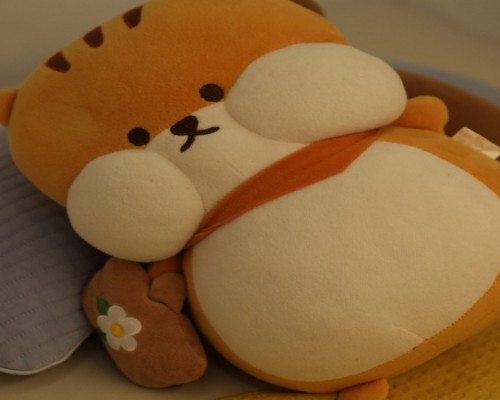 마포 연남동 홍대입구역 치어풀포맨 브라질리언왁싱 - 마캉스