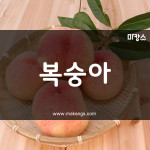 제주 연동 복숭아 스웨디시마사지 - 마캉스