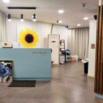 송파 문정동 문정역 바디바디스웨디시 스웨디시마사지 - 마캉스