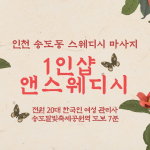 인천 송도동 1인샵 앤스웨디시 스웨디시 마사지 - 마캉스