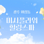 광주 화정동 미시플라워힐링스파 호텔식 마사지 - 마캉스