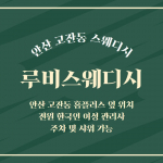 안산 고잔동 루비스웨디시 스웨디시 마사지 - 마캉스