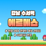강남 자곡동 에르메스 스웨디시 마사지 – 마캉스