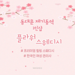 동대문 용두동 제기동역 1인샵 플라워스웨디시 스웨디시 마사지 - 마캉스