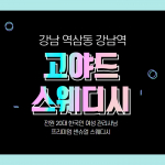 강남 역삼동 강남역 고야드스웨디시 스웨디시 마사지 - 마캉스