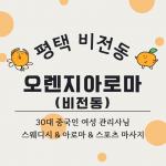 평택 비전동 오렌지아로마(비전동) 스웨디시 아로마 마사지 – 마캉스