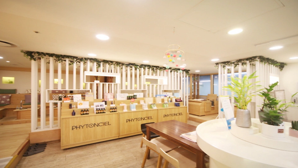 용산동 에스테틱 피톤씨엘02