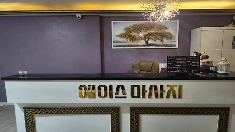 대전 문화동 서대전네거리역 에이스테라피 스웨디시마사지 - 마캉스