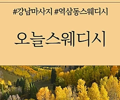 강남 역삼동 역삼역 오늘스웨디시 스웨디시마사지 - 마캉스