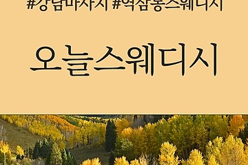 강남 역삼동 역삼역 오늘스웨디시 스웨디시마사지 - 마캉스