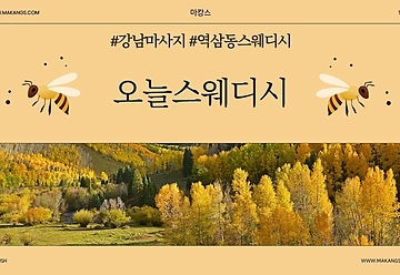 강남 역삼동 역삼역 오늘스웨디시 스웨디시마사지 - 마캉스