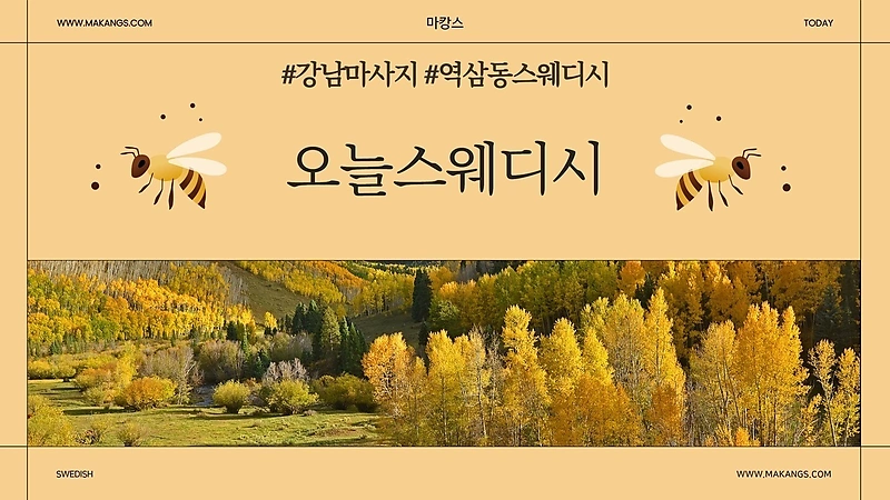 강남 역삼동 역삼역 오늘스웨디시 스웨디시마사지 - 마캉스