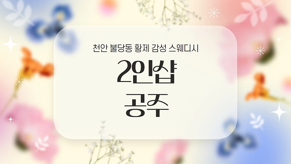 2인샵 공주