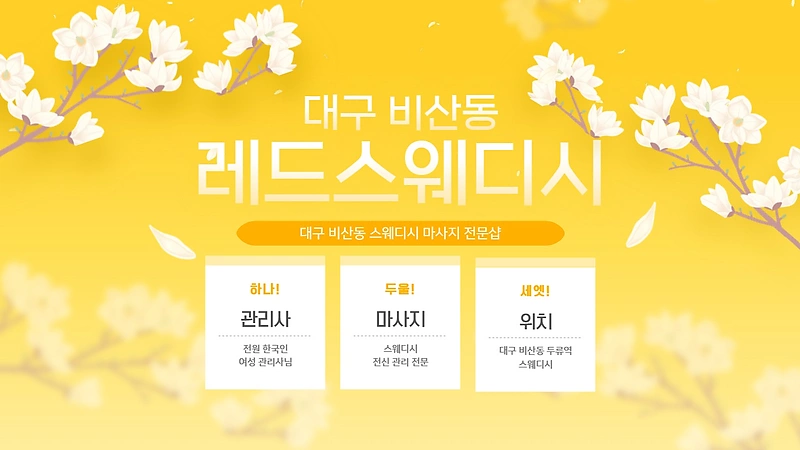 대구 비산동 레드스웨디시 스웨디시 마사지 - 마캉스