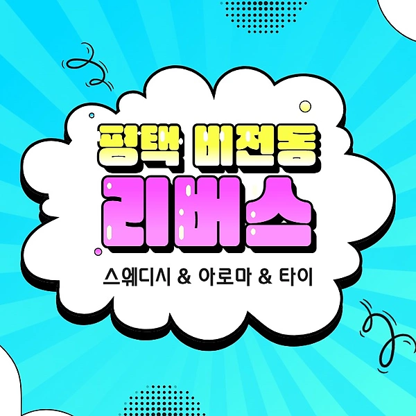 평택 비전동 리버스 스웨디시 마사지 - 마캉스