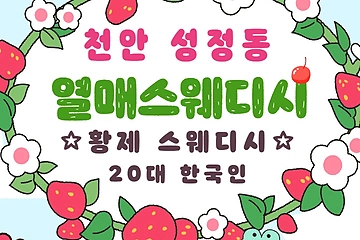 천안 성정동 열매스웨디시 스웨디시 마사지 - 마캉스