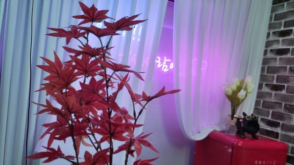 화도읍 마사지 루미너스03