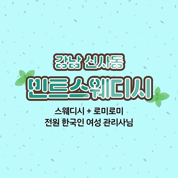 강남 신사동 신사역 민트스웨디시 스웨디시 마사지 – 마캉스