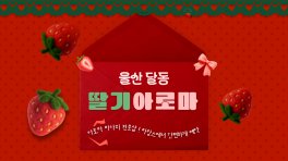 울산 달동 딸기아로마 아로마 마사지 – 마캉스