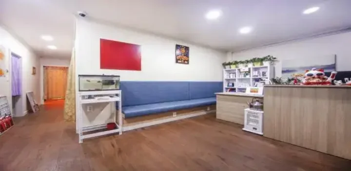 대림동 마사지 건강원중국전통02