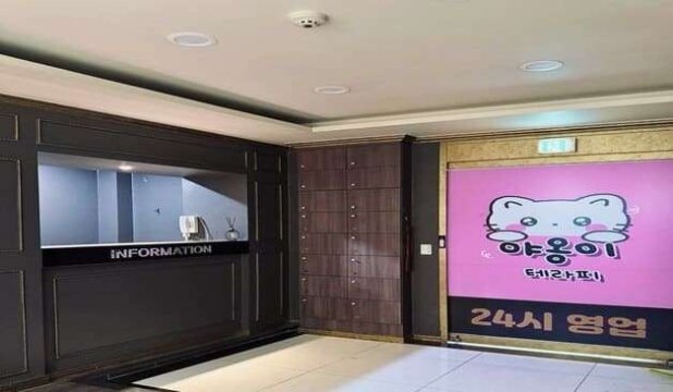 인천 항동 야옹이테라피 스웨디시 마사지 – 마캉스