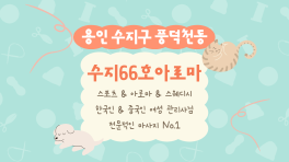 용인 풍덕천동 수지66호아로마 스웨디시 아로마 마사지 – 마캉스