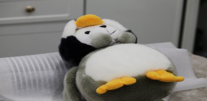이충동 왁싱 끌림슈가링07