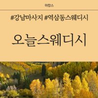 강남 역삼동 역삼역 오늘스웨디시 스웨디시 마사지 - 마캉스
