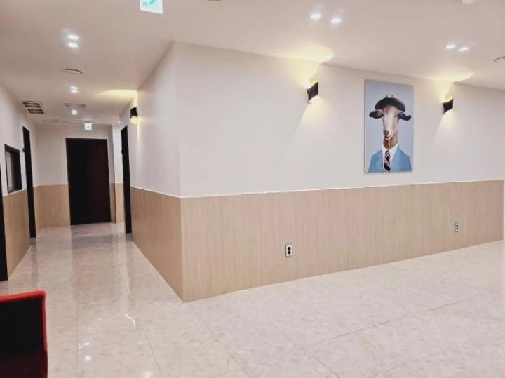 잠원동 마사지 고트테라피03