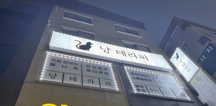 동삭동 마사지 냥테라피01