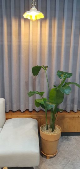 효자동 마사지 하늬아로마06