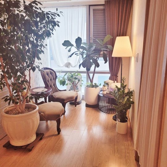 우동 마사지 리셋아로마05