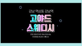 강남 역삼동 강남역 고야드스웨디시 스웨디시 마사지 - 마캉스