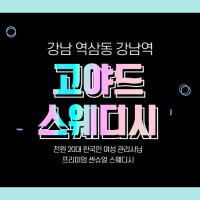 강남 역삼동 강남역 고야드스웨디시 스웨디시 마사지 - 마캉스